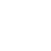 Donor Advised Fund icon