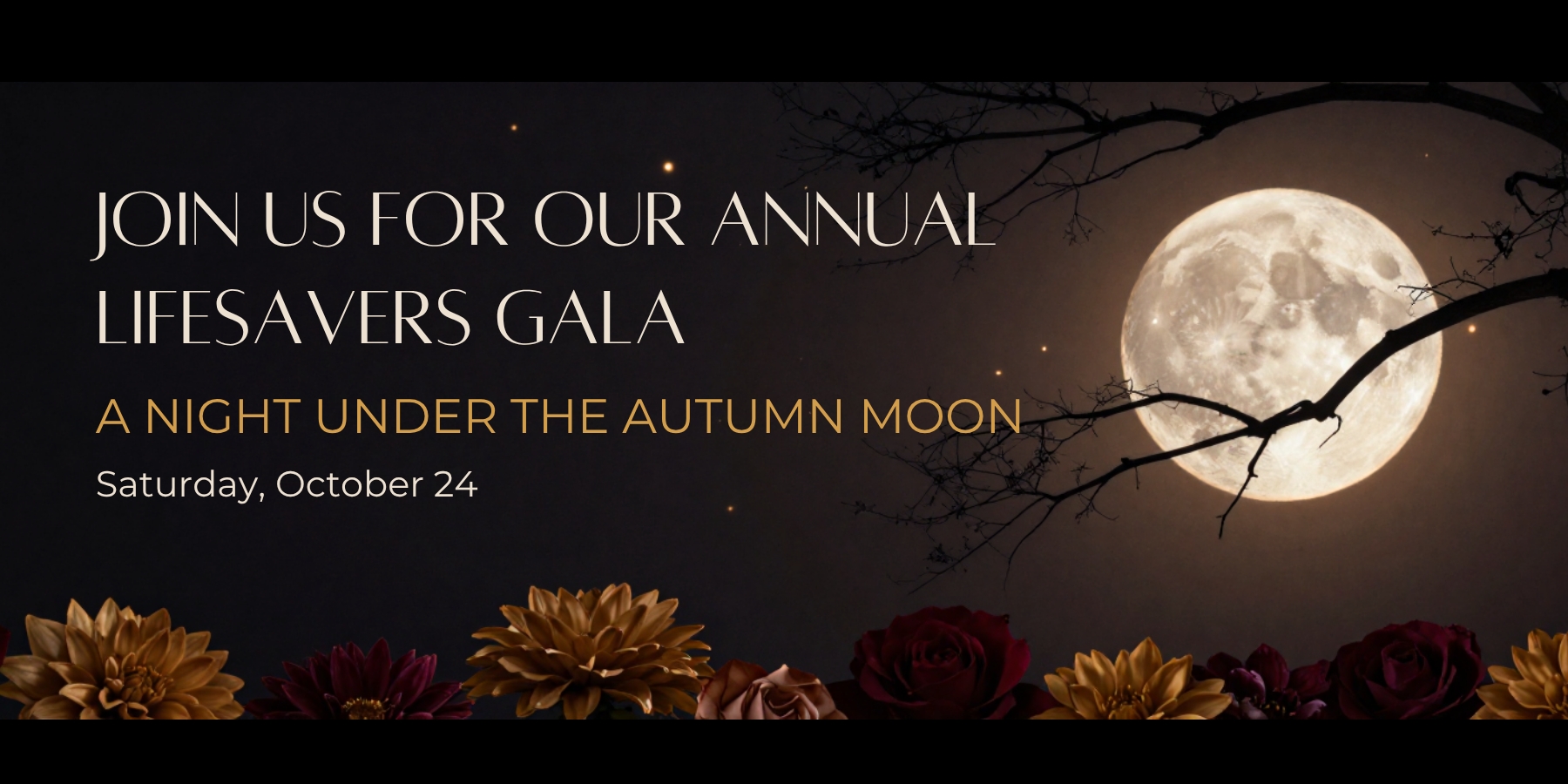 Lifesavers Gala banner