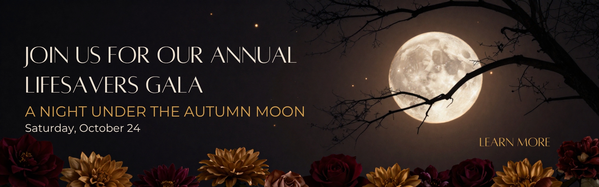 Life Savers Gala banner
